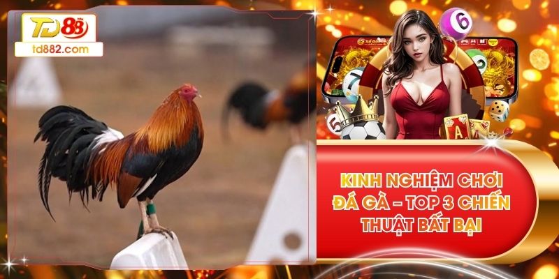 Kinh Nghiệm Chơi Đá Gà – Top 3 Chiến Thuật Bất Bại