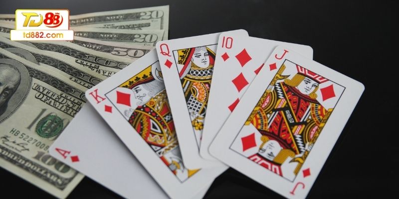 Người mới nên tránh mắc lỗi sai